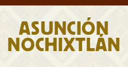 Asunción Nochixtlán